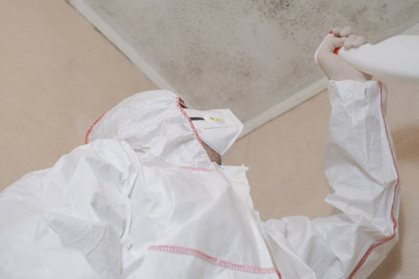 Best Residential Mold Removal  in Tracy, MN